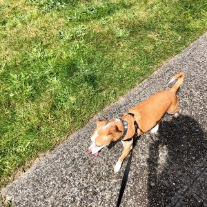 Meet your Posher, Andi